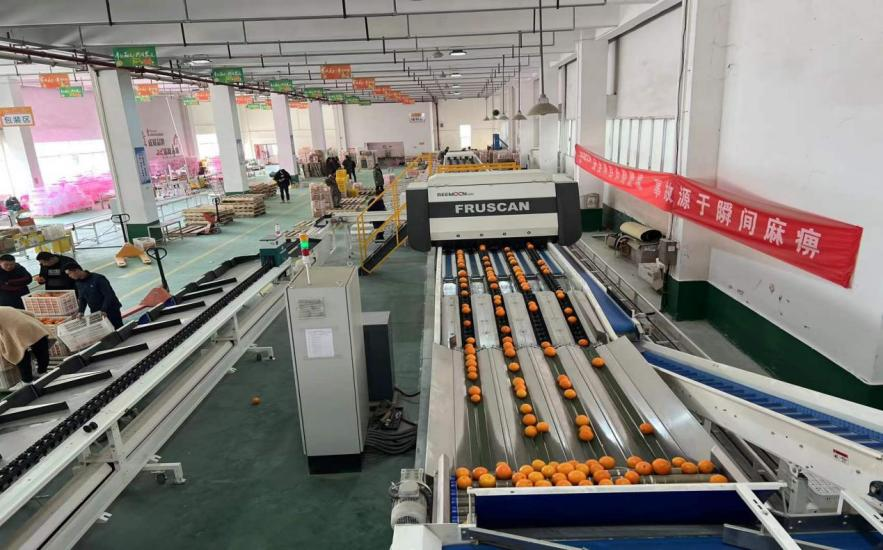 1642668699569327.png 10.png